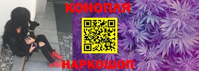 винт Партизанск
