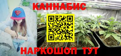 винт Партизанск