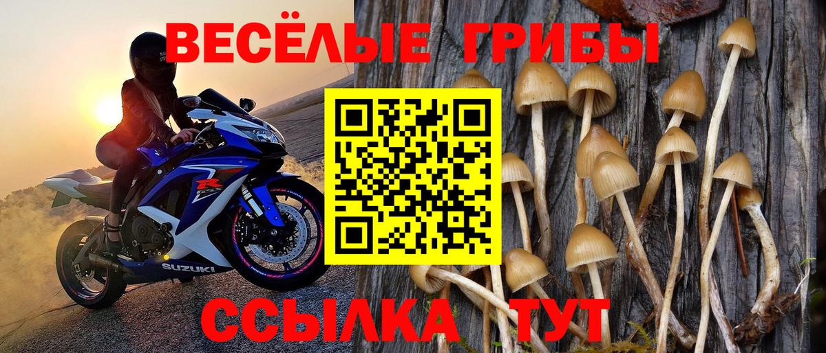 Галлюциногенные грибы Magic Shrooms Заринск